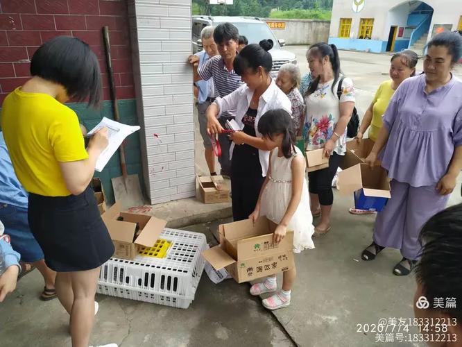 赋能乡村振兴 新化县田坪镇麻水塘村家畜饲养员培训班助力牲畜饲养提质增效